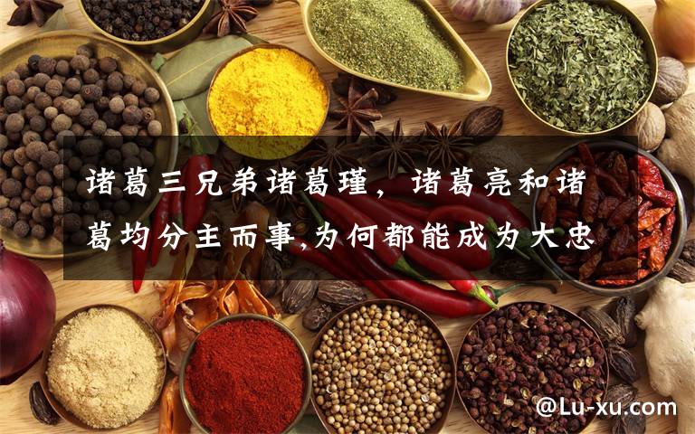 诸葛三兄弟诸葛瑾，诸葛亮和诸葛均分主而事,为何都能成为大忠臣文章配图