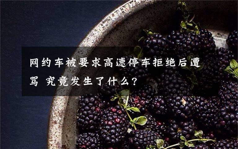 网约车被要求高速停车拒绝后遭骂 究竟发生了什么?