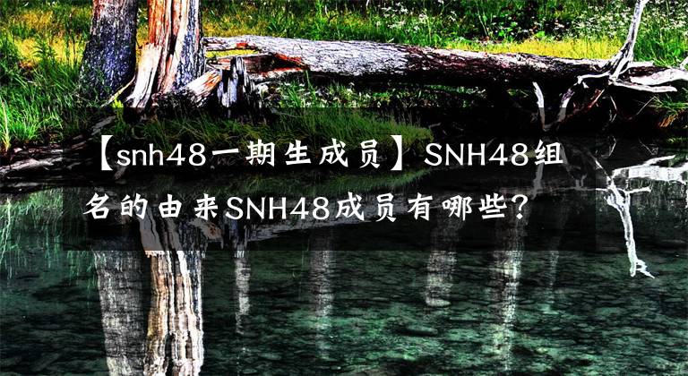 【snh48一期生成员】SNH48组名的由来SNH48成员有哪些？