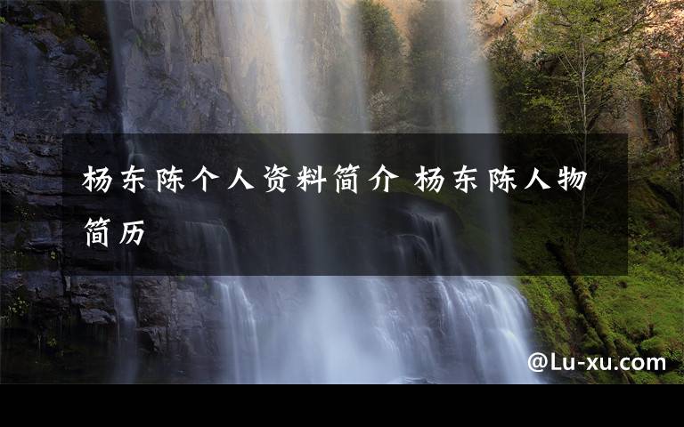 杨东陈个人资料简介 杨东陈人物简历文章配图