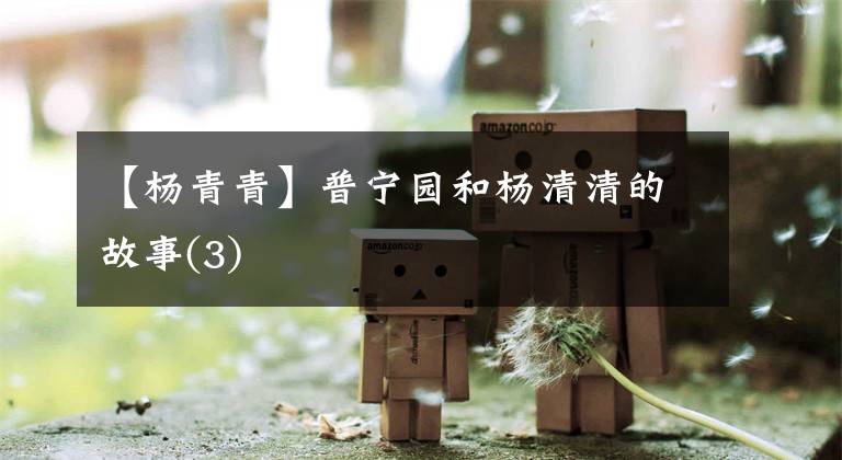 【杨青青】普宁园和杨清清的故事(3)文章配图