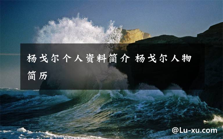 杨戈尔个人资料简介 杨戈尔人物简历文章配图