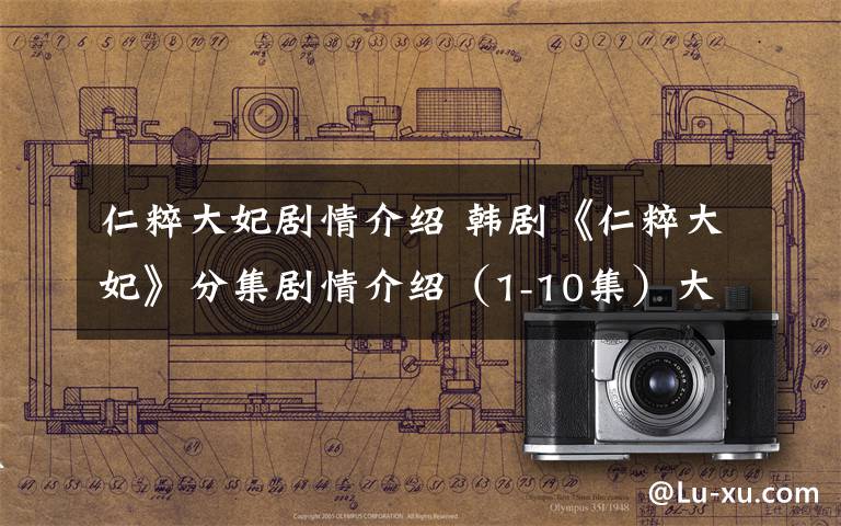 仁粹大妃剧情介绍 韩剧《仁粹大妃》分集剧情介绍（1-10集）大结局