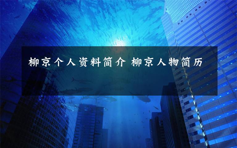柳京个人资料简介 柳京人物简历文章配图