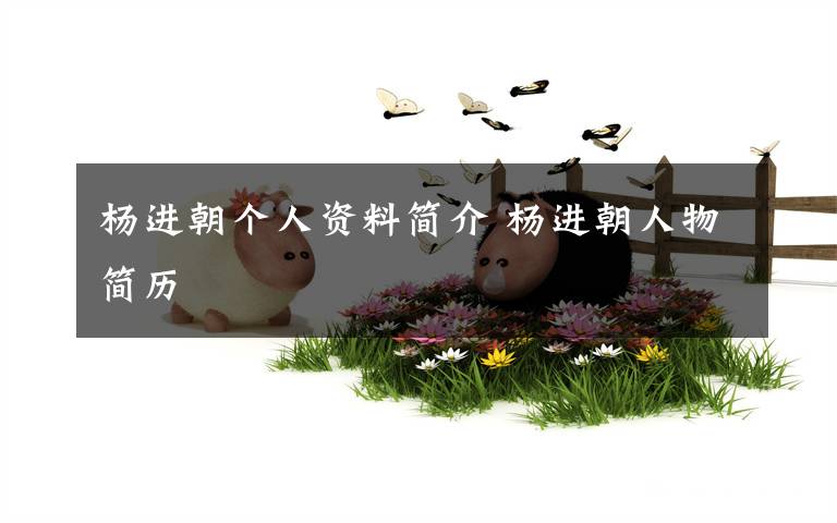 杨进朝个人资料简介 杨进朝人物简历文章配图