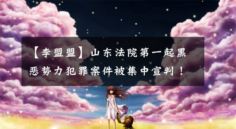 【李盟盟】山东法院第一起黑恶势力犯罪案件被集中宣判！共有19件130人文章配图