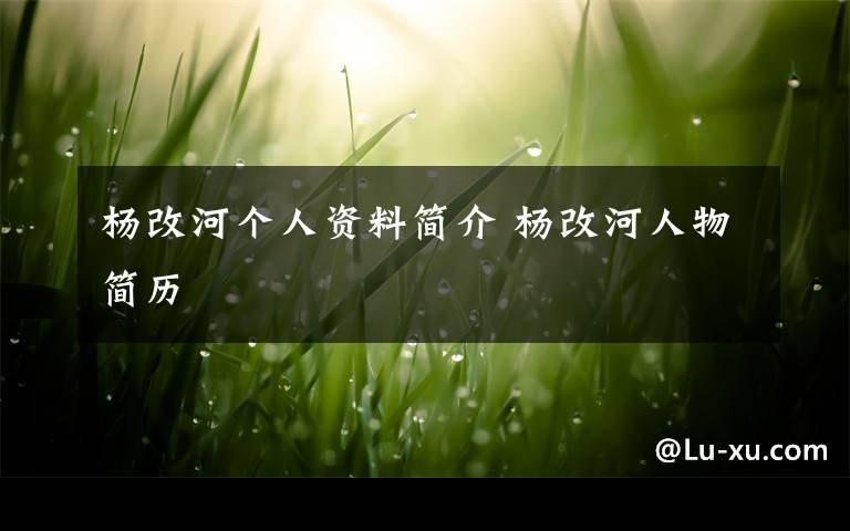 杨改河个人资料简介 杨改河人物简历文章配图