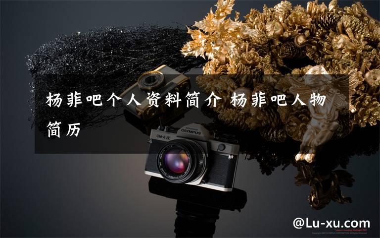 杨菲吧个人资料简介 杨菲吧人物简历文章配图