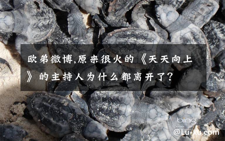 欧弟微博,原来很火的《天天向上》的主持人为什么都离开了？