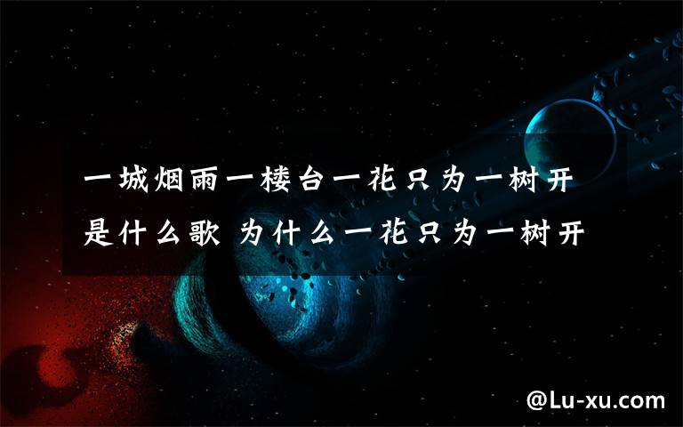 一城烟雨一楼台一花只为一树开是什么歌 为什么一花只为一树开