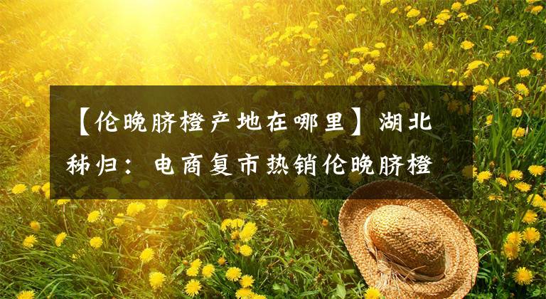 【伦晚脐橙产地在哪里】湖北秭归：电商复市热销伦晚脐橙