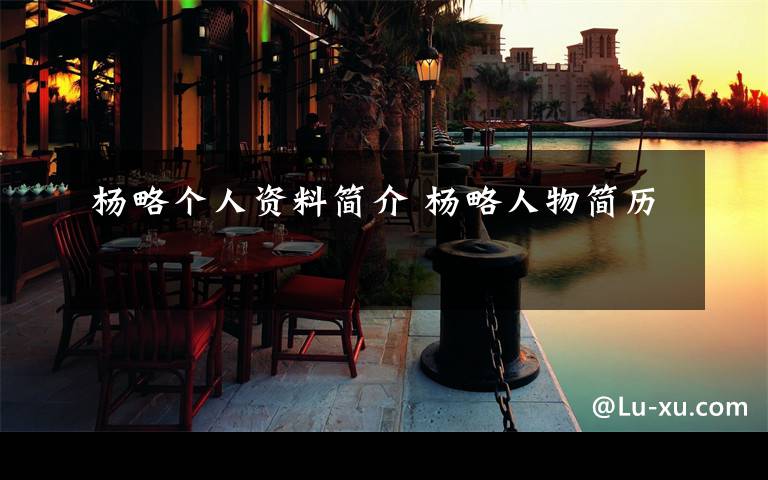 杨略个人资料简介 杨略人物简历文章配图