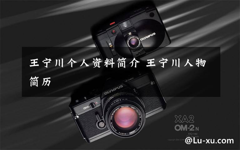 王宁川个人资料简介 王宁川人物简历文章配图