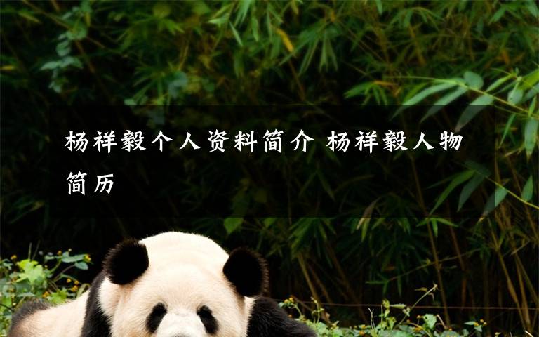 杨祥毅个人资料简介 杨祥毅人物简历文章配图