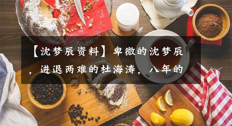 【沈梦辰资料】卑微的沈梦辰，进退两难的杜海涛，八年的爱情长跑已经很难结束了。文章配图