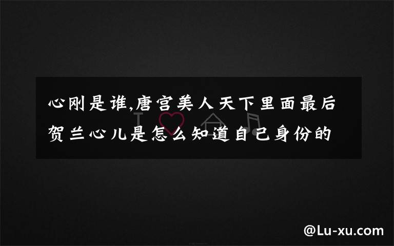 心刚是谁,唐宫美人天下里面最后贺兰心儿是怎么知道自己身份的 皇后娘娘又是怎么知道的？