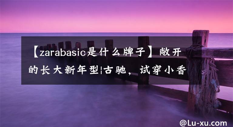 【zarabasic是什么牌子】敞开的长大新年型|古驰，试穿小香风爆款，单品都想买