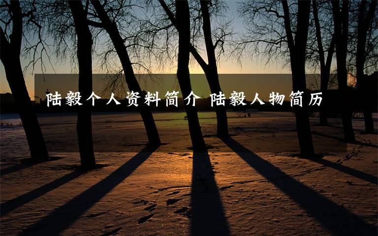 陆毅个人资料简介 陆毅人物简历文章配图
