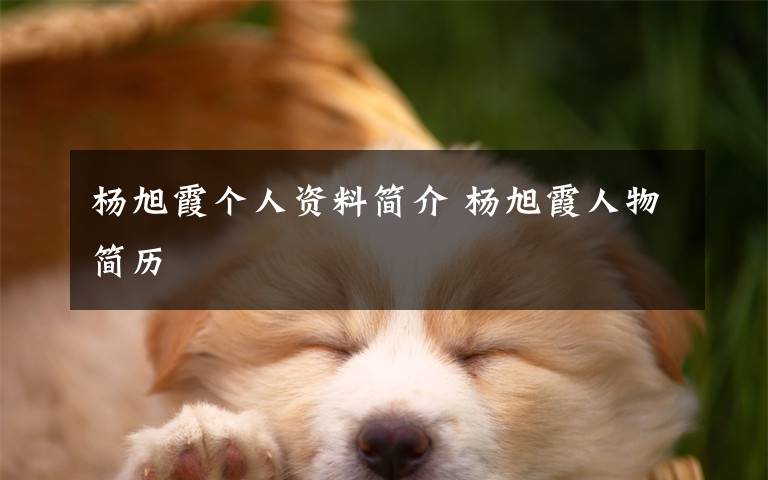 杨旭霞个人资料简介 杨旭霞人物简历文章配图