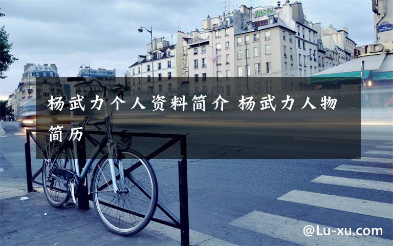 杨武力个人资料简介 杨武力人物简历文章配图