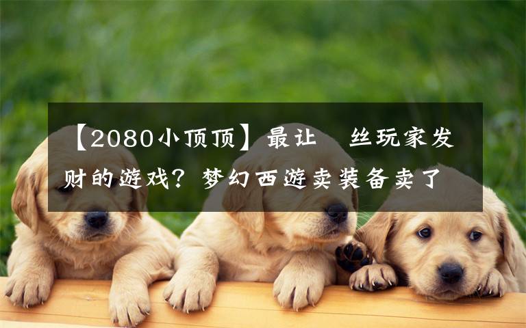 【2080小顶顶】最让屌丝玩家发财的游戏？梦幻西游卖装备卖了36万，直接买了套房