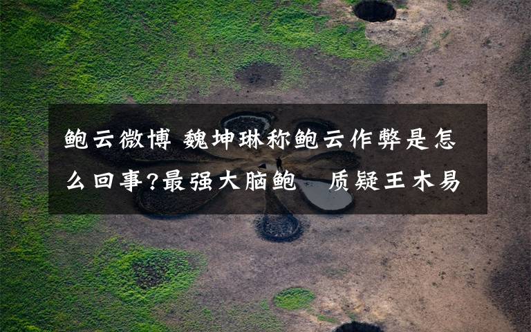 鲍云微博 魏坤琳称鲍云作弊是怎么回事?最强大脑鲍橒质疑王木易作弊真相文章配图