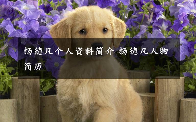 杨德凡个人资料简介 杨德凡人物简历文章配图