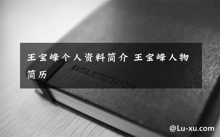 王宝峰个人资料简介 王宝峰人物简历文章配图