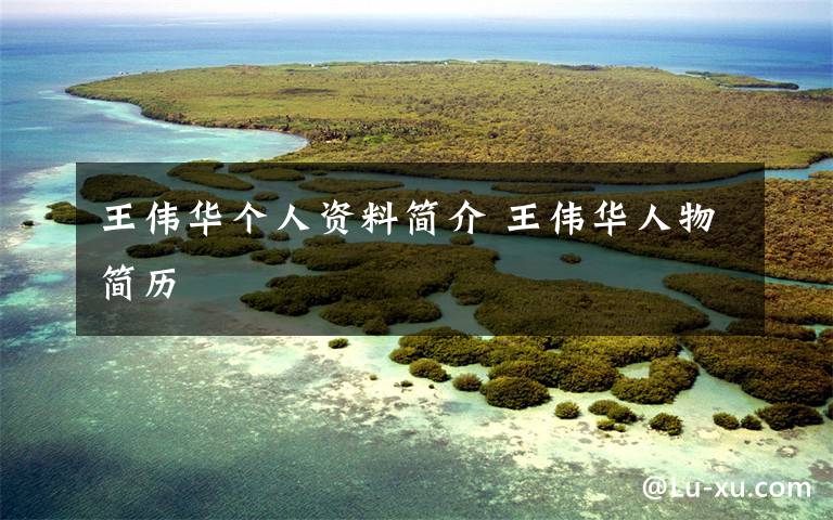 王伟华个人资料简介 王伟华人物简历文章配图