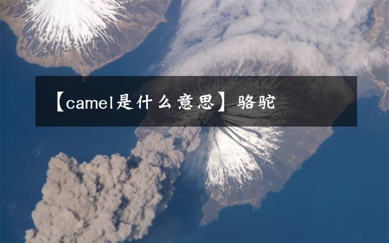 【camel是什么意思】骆驼文章配图