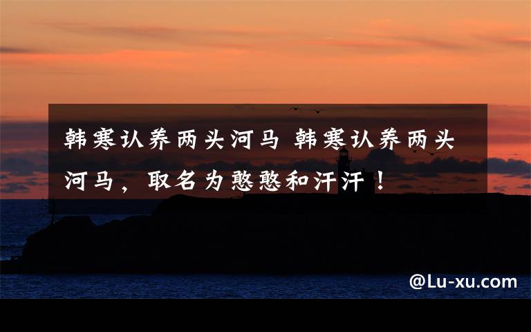 韩寒认养两头河马 韩寒认养两头河马，取名为憨憨和汗汗！文章配图