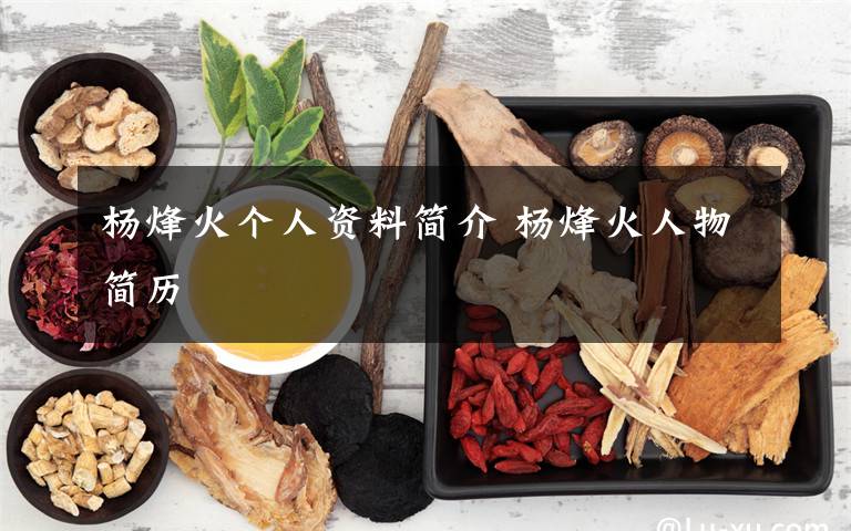 杨烽火个人资料简介 杨烽火人物简历文章配图
