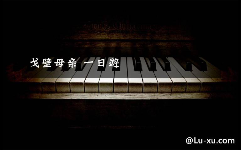 戈壁母亲 一日游文章配图