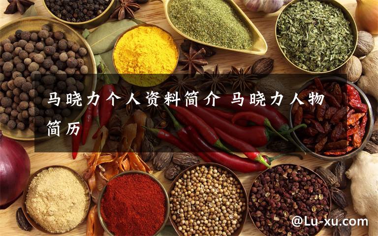 马晓力个人资料简介 马晓力人物简历文章配图