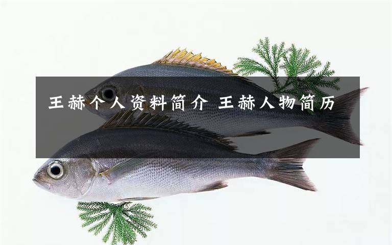 王赫个人资料简介 王赫人物简历文章配图