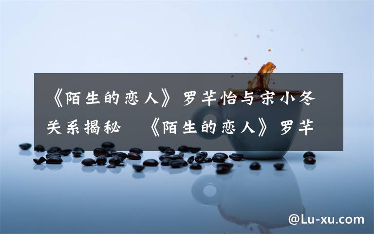 《陌生的恋人》罗芊怡与宋小冬关系揭秘   《陌生的恋人》罗芊怡回归文章配图