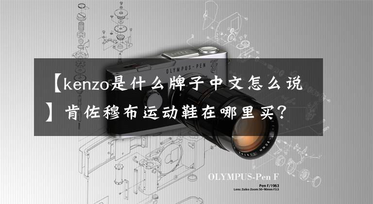 【kenzo是什么牌子中文怎么说】肯佐穆布运动鞋在哪里买？