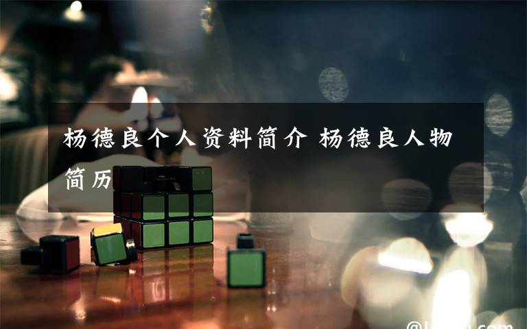 杨德良个人资料简介 杨德良人物简历文章配图