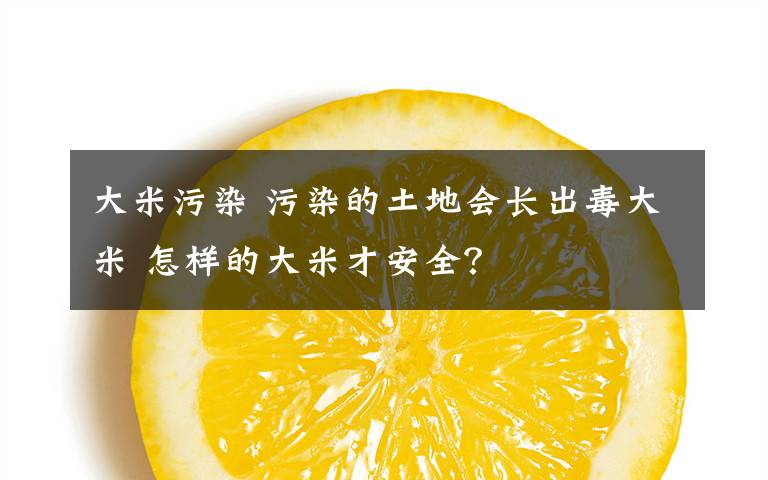 大米污染 污染的土地会长出毒大米 怎样的大米才安全？文章配图