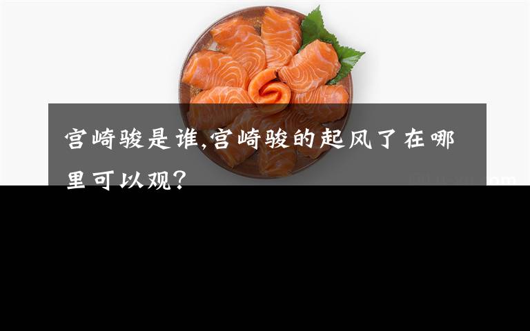 宫崎骏是谁,宫崎骏的起风了在哪里可以观？