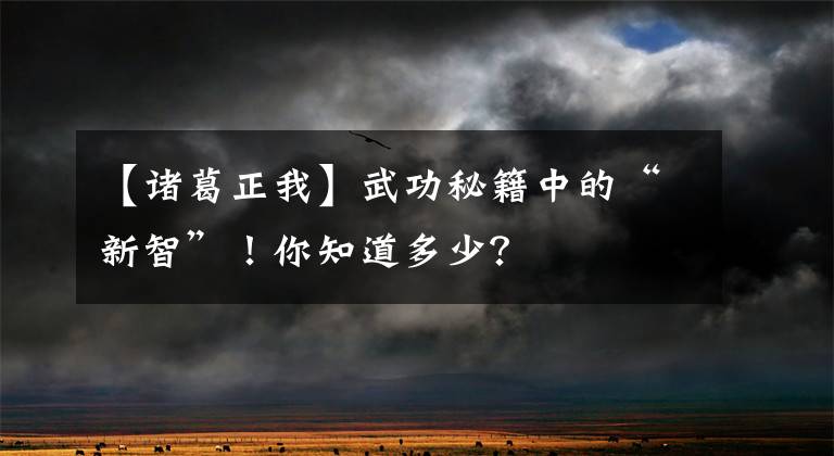 【诸葛正我】武功秘籍中的“新智”！你知道多少？