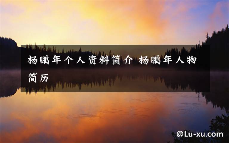 杨鹏年个人资料简介 杨鹏年人物简历文章配图