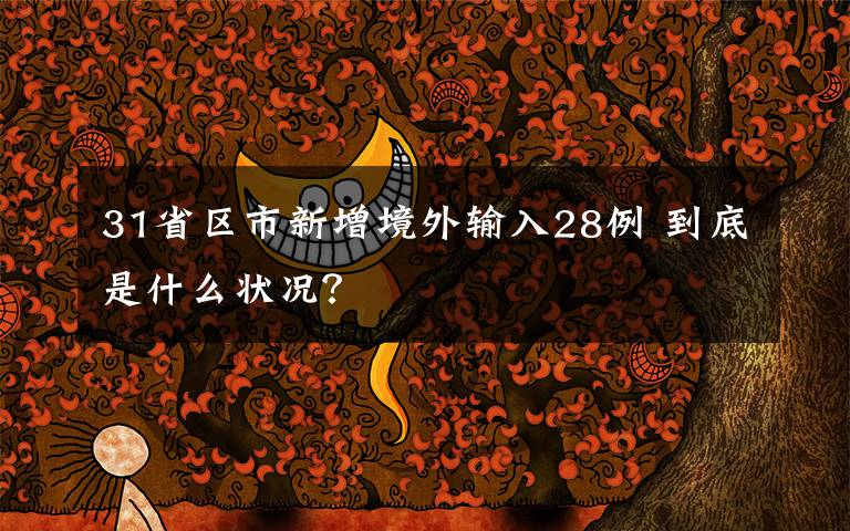 31省区市新增境外输入28例 到底是什么状况？