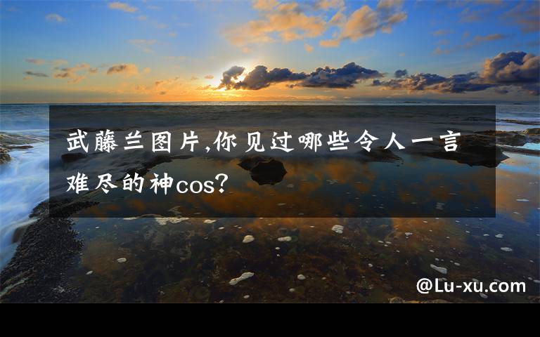 武藤兰图片,你见过哪些令人一言难尽的神cos？