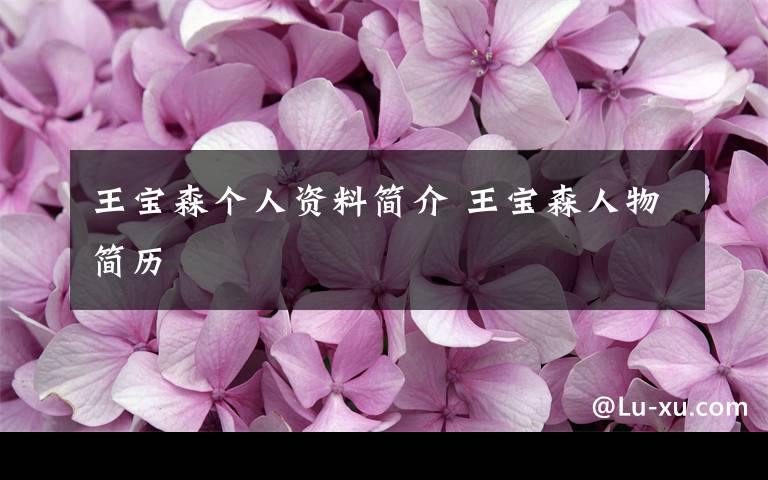 王宝森个人资料简介 王宝森人物简历文章配图