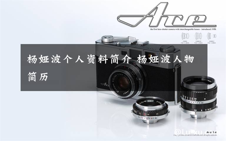 杨娅波个人资料简介 杨娅波人物简历