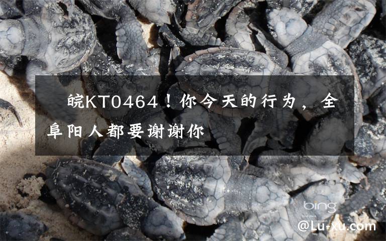 ​皖KT0464！你今天的行为，全阜阳人都要谢谢你文章配图