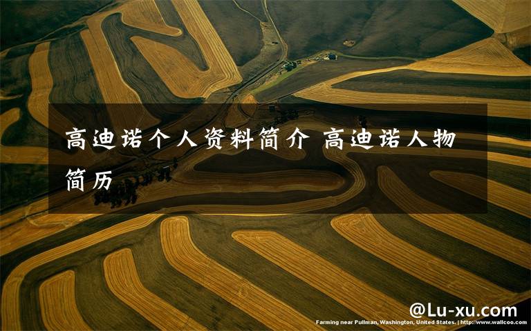 高迪诺个人资料简介 高迪诺人物简历文章配图