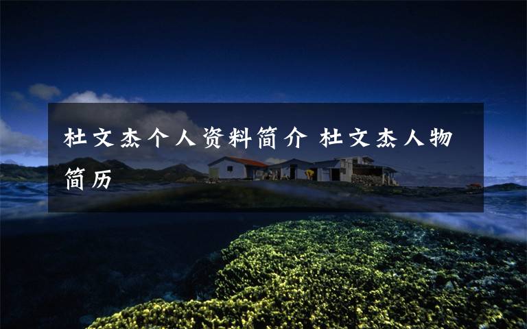 杜文杰个人资料简介 杜文杰人物简历文章配图