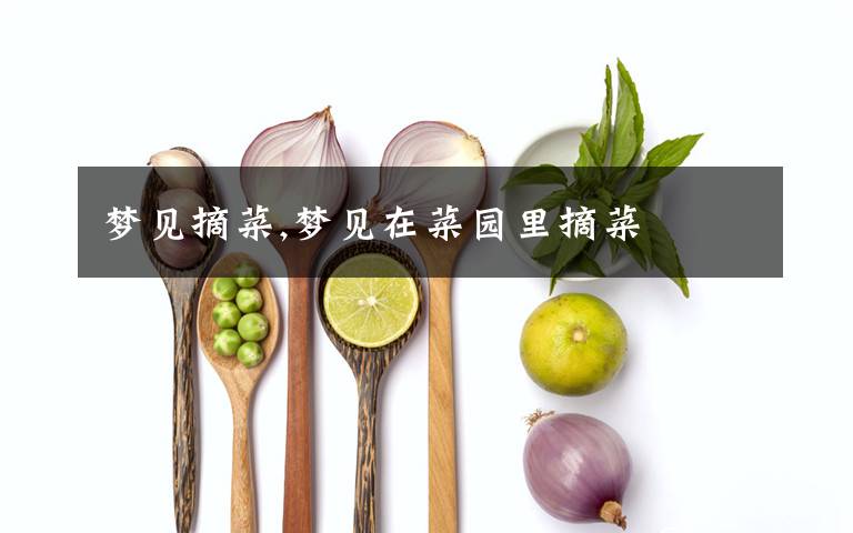 梦见摘菜,梦见在菜园里摘菜